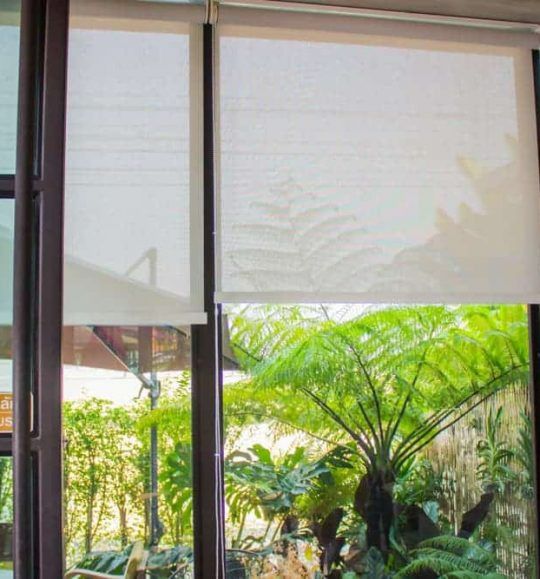 A Window With Blinds on It and a View of a Garden — Budget Screens & Awnings in South Lismore, NSW