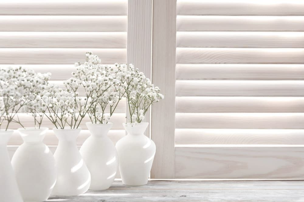 Row of White Vases Filled With Baby's Breath Flowers in Front of a Window. — Budget Screens & Awnings in South Lismore, NSW