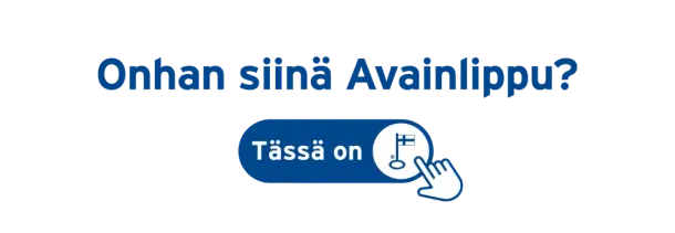 Suomalainen maalausliike