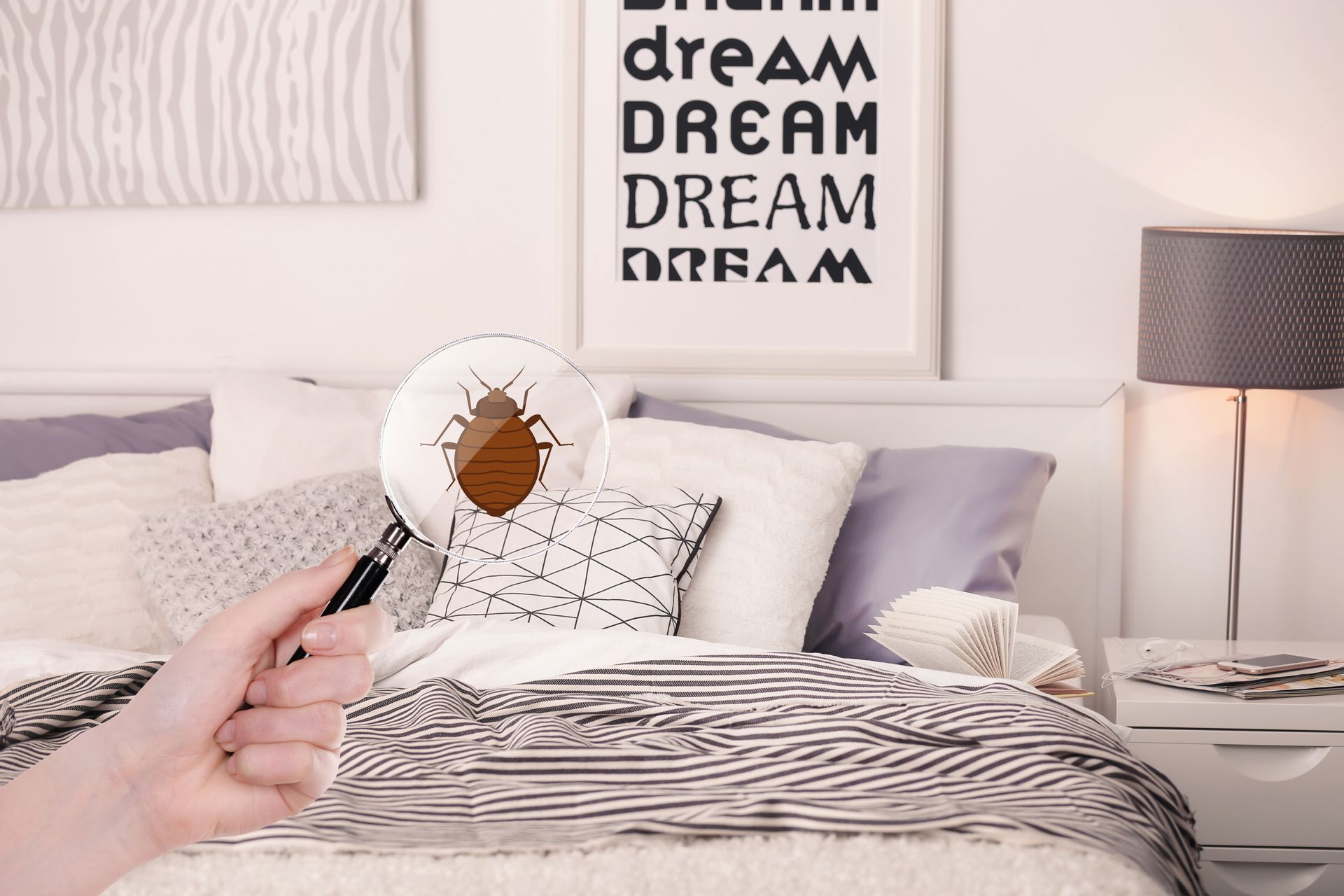 A person is holding a magnifying glass over a bed bug.