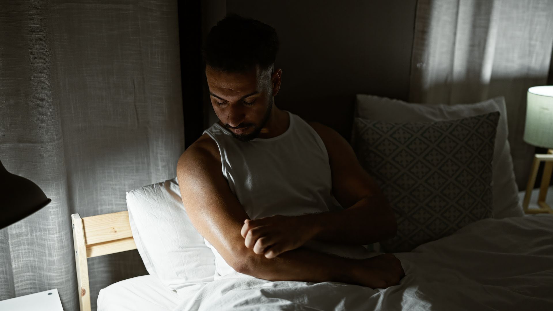 bed bugs solutions in New Hampshire