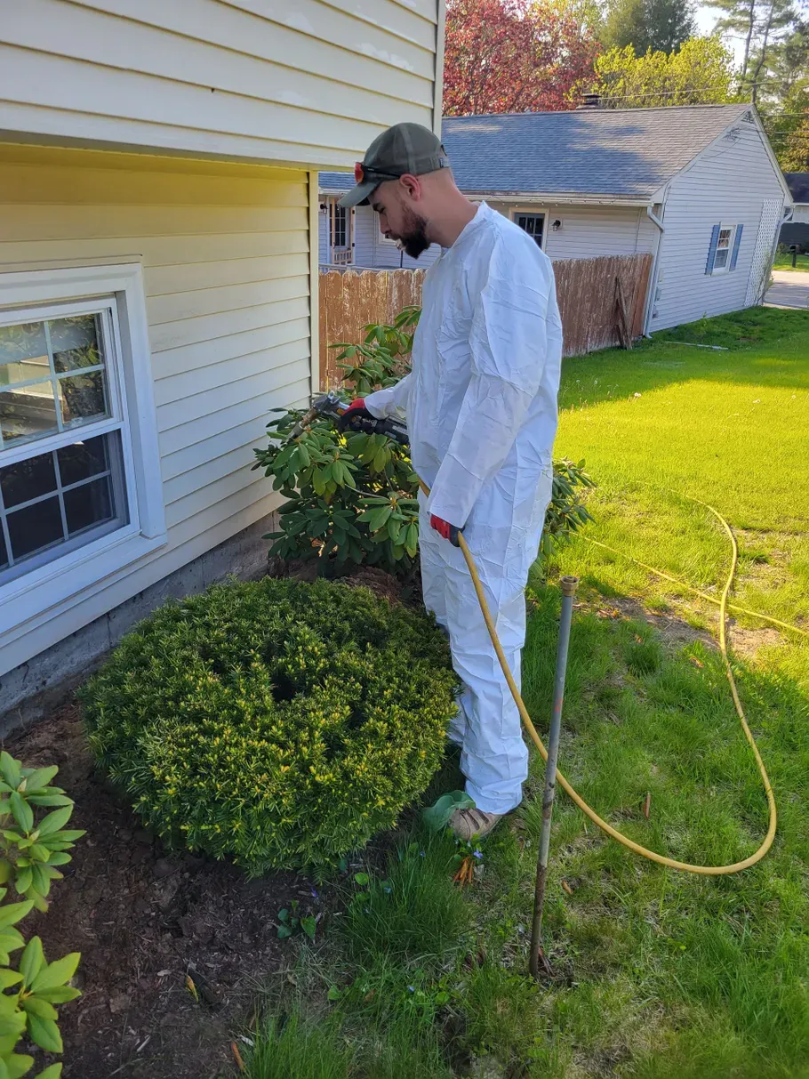 pest+management+service+in+walpole+nh.webp
