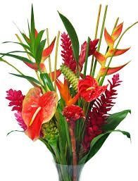 image of flowers
