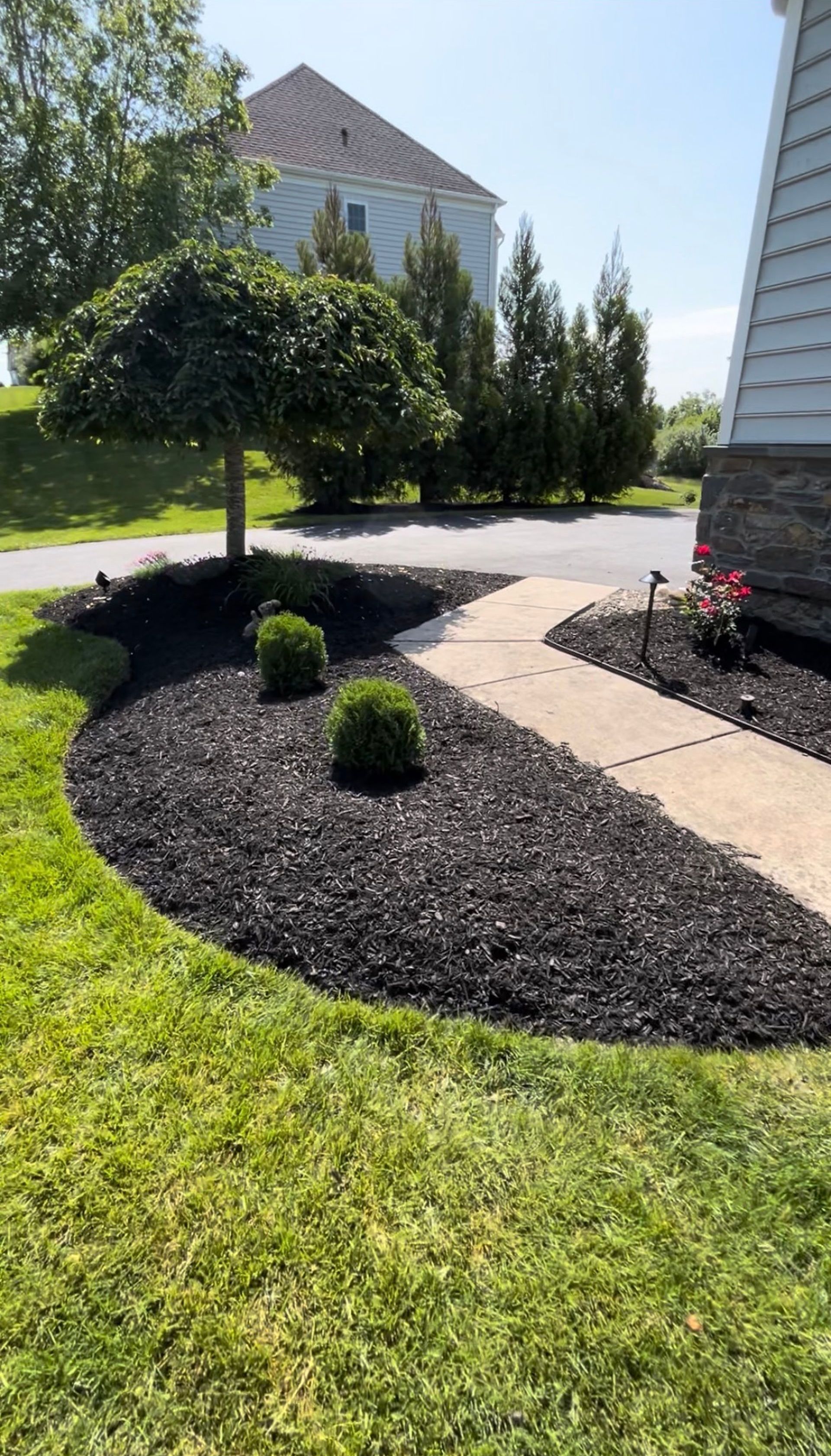A lush green lawn with a walkway leading to a house.