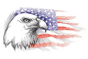 Bald eagle profile with American flag backdrop.
