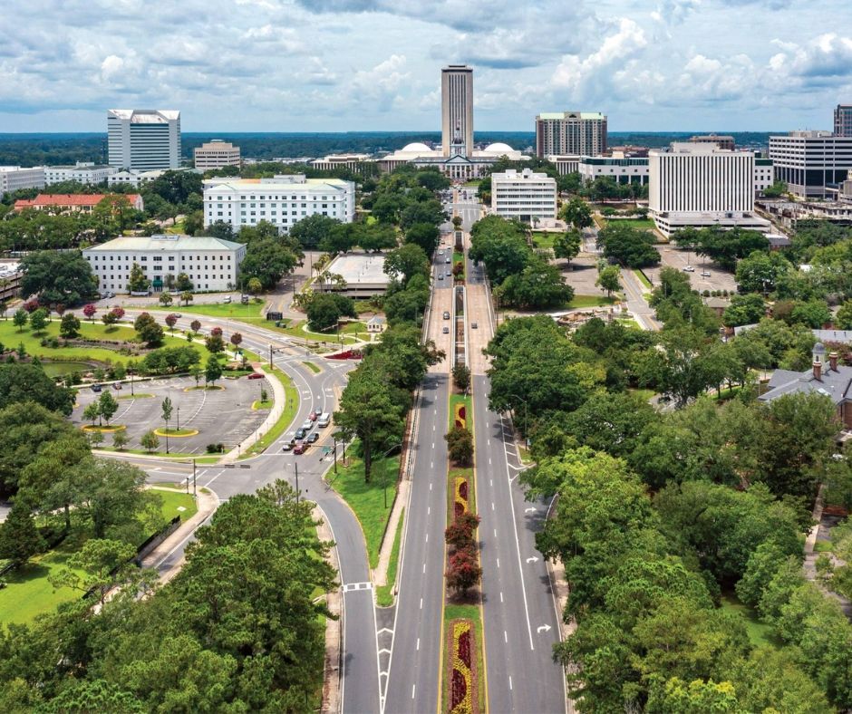 Aerial view of a tree-lined city boulevard leading to modern office buildings under a bright sky