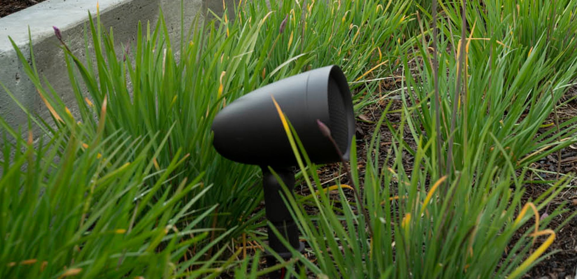 St. Louis outdoor speaker