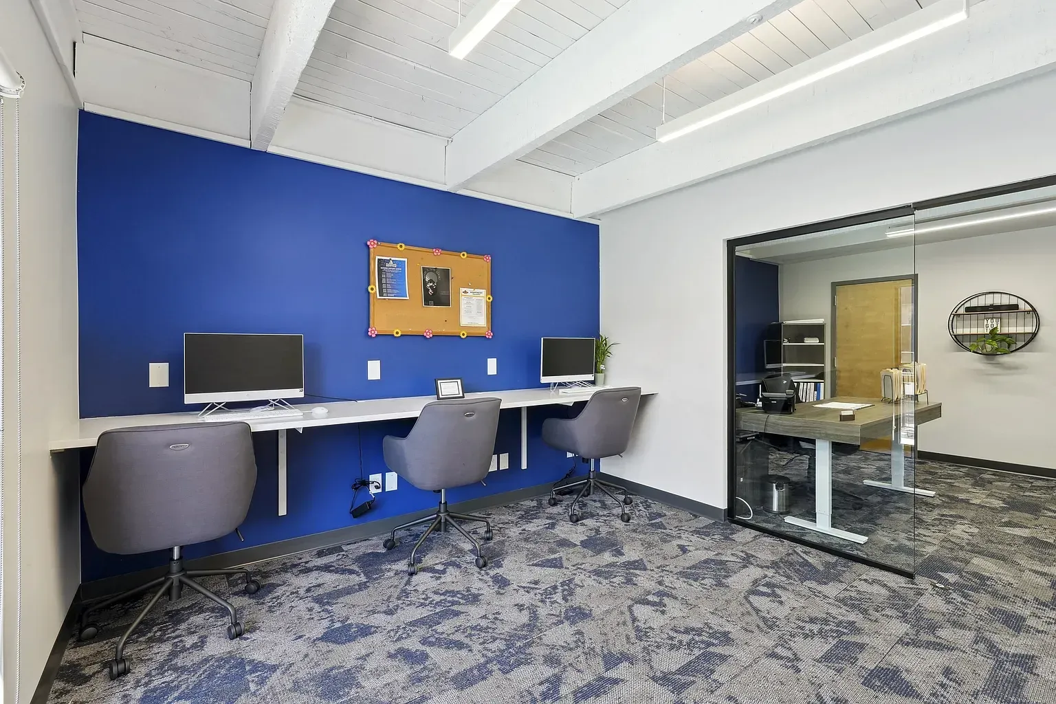 A modern office space with a blue wall, a desk for two, and a glass-enclosed private office with grey carpet at Avec Greeley.
