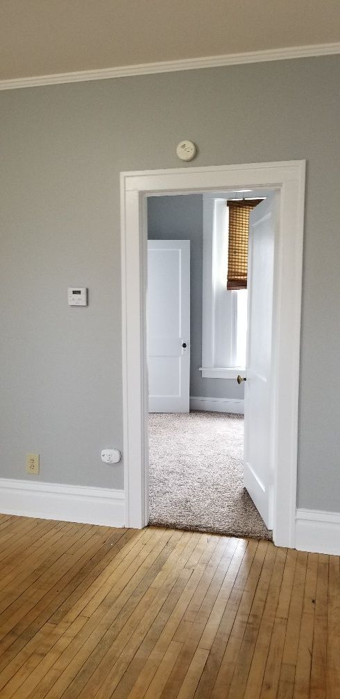 Interior doorway with white trim, leading to a carpeted room. Hardwood floor in foreground, gray walls.