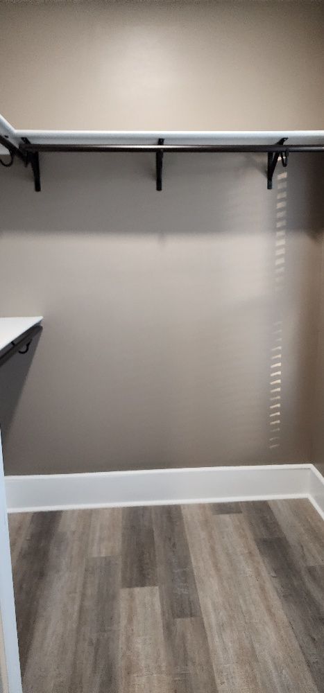 Empty closet with a clothing rod and shelf. Tan walls, white trim, and gray wood-look flooring.