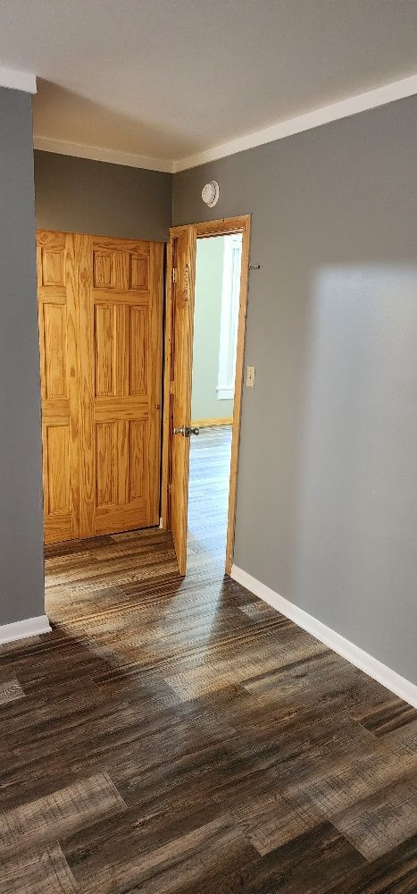Interior view of room with wood flooring, grey walls, and two open doors.
