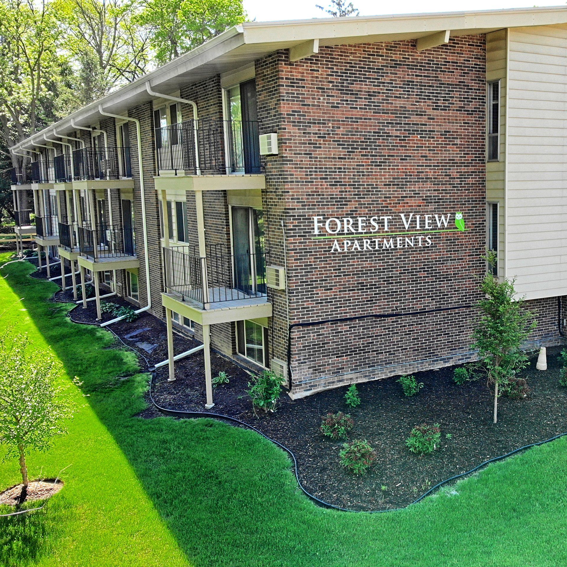 Forest View