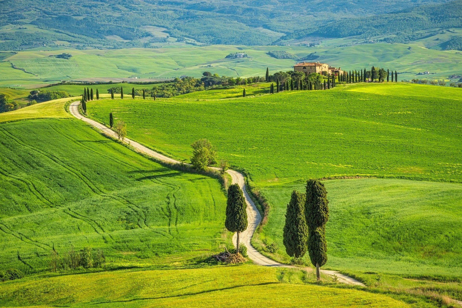 struttura immersa nel verde