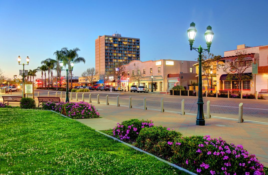 a city street with purple flowers in the foreground