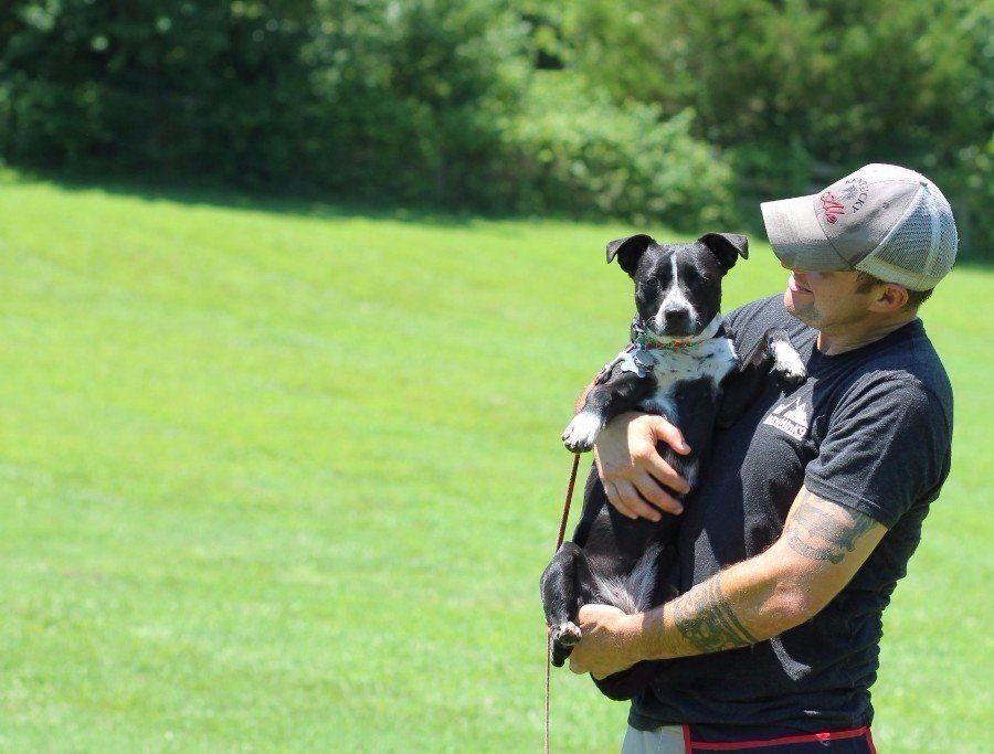 Man holding a black-and-white dog on a leash in a grassy park, both facing the camera.