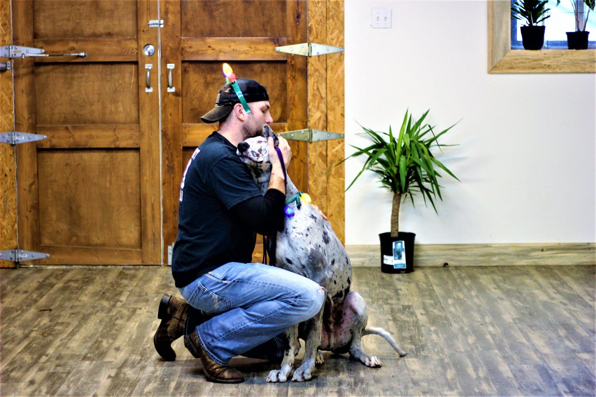 Man kneels and hugs a spotted dog in a room with wooden doors and a potted plant
