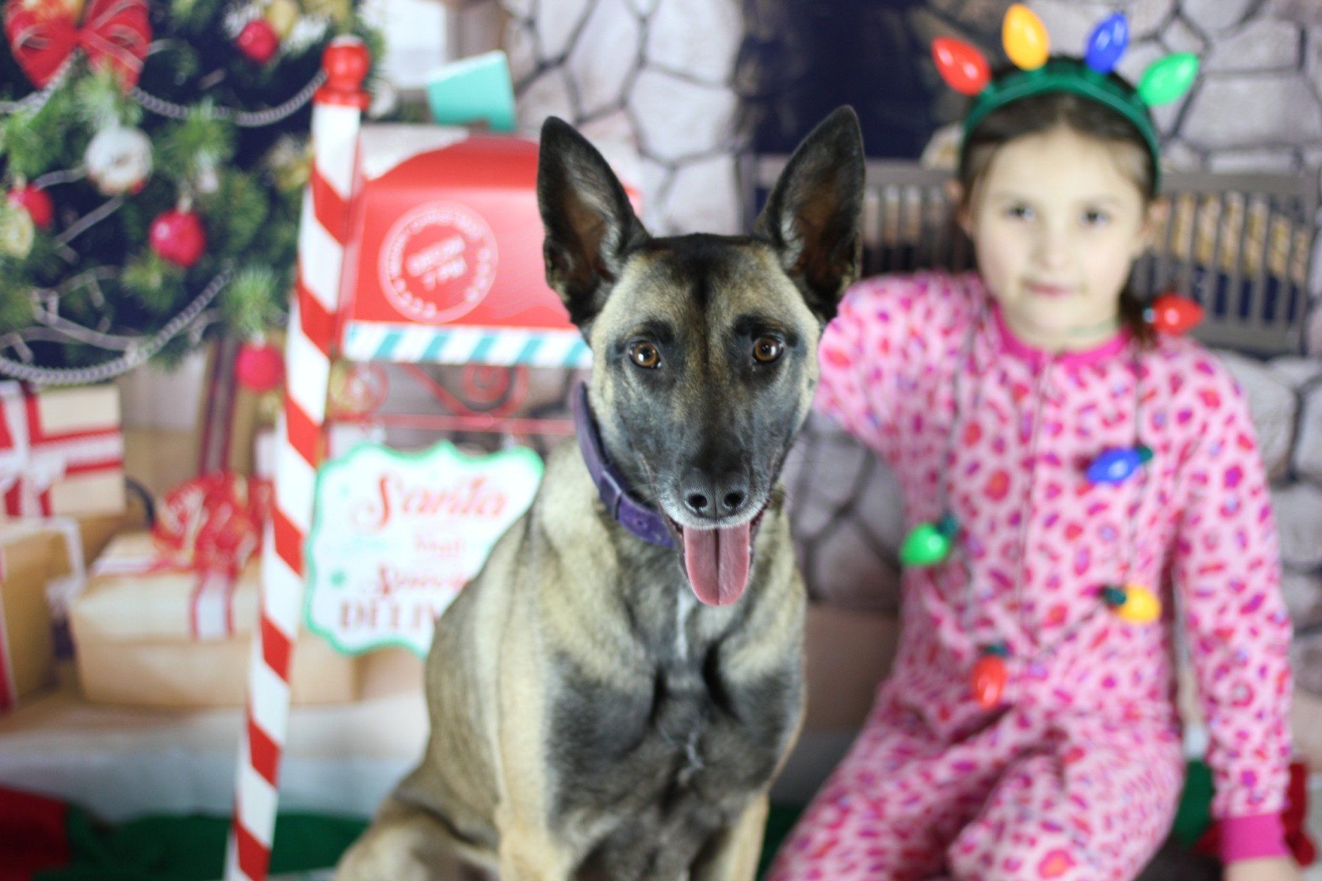 Dog in a festive room beside a child in pink pajamas and holiday lights