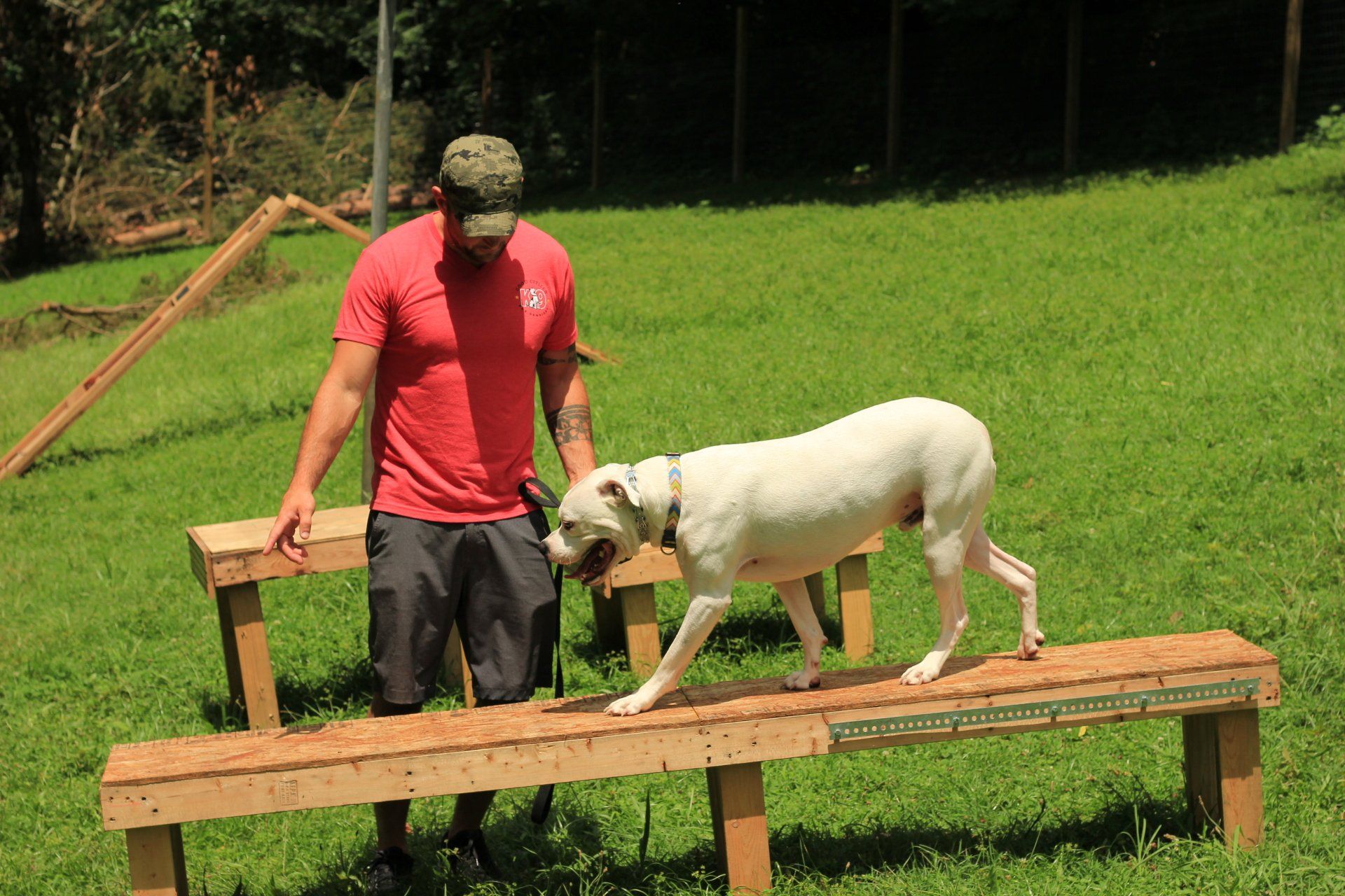 Man in red shirt standing beside a white dog on a wooden platform in a grassy field