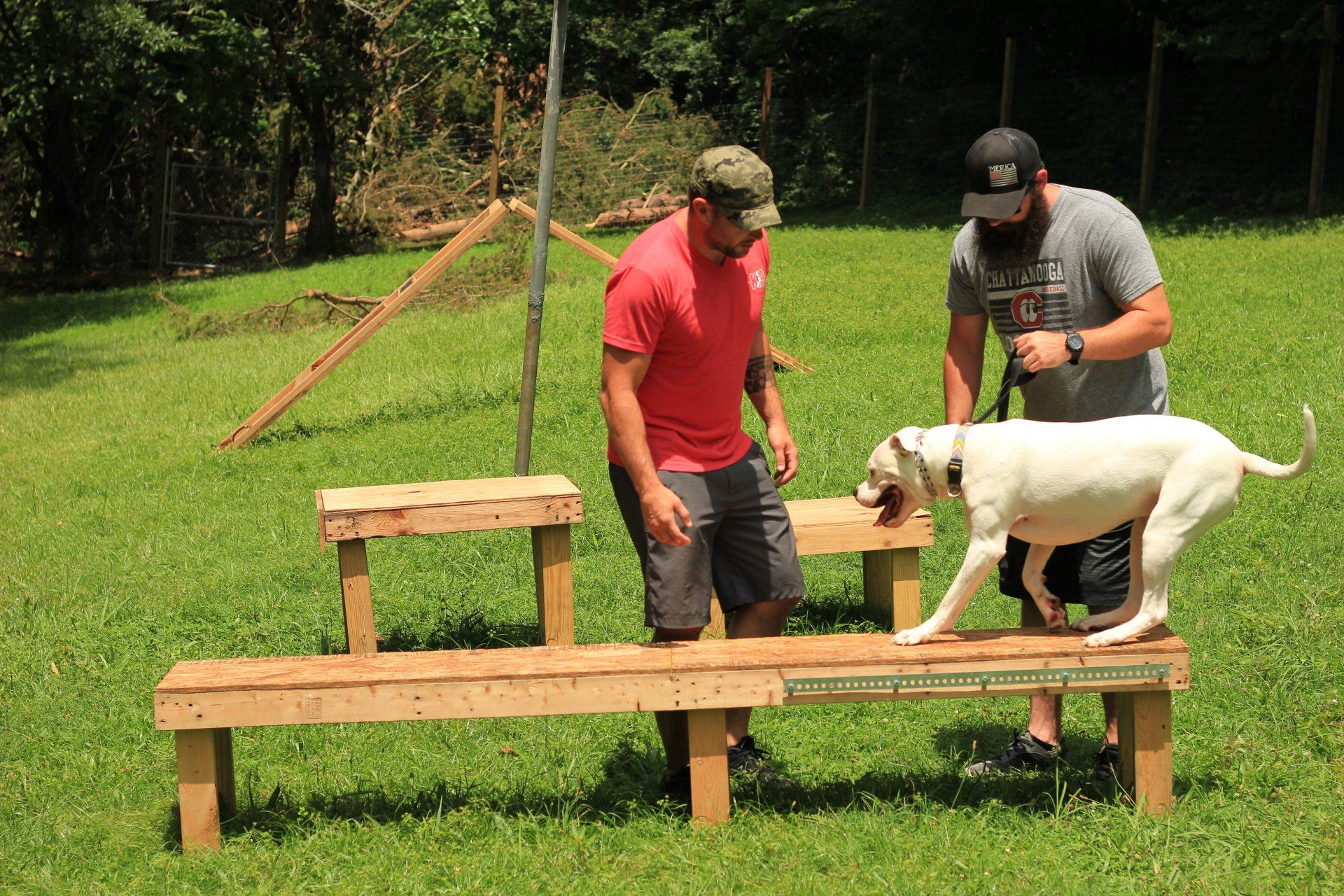 Two people guide a dog across a wooden agility bench in a grassy park.