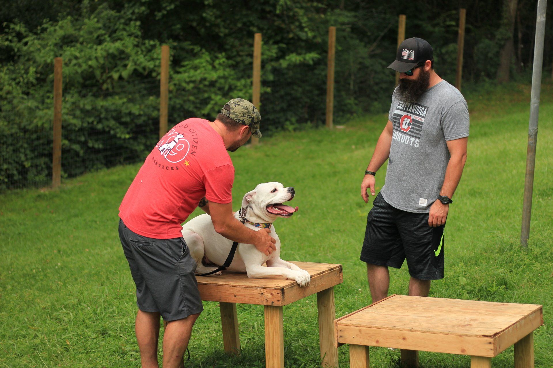 Two men pet a white dog on a wooden platform in a grassy outdoor training area.