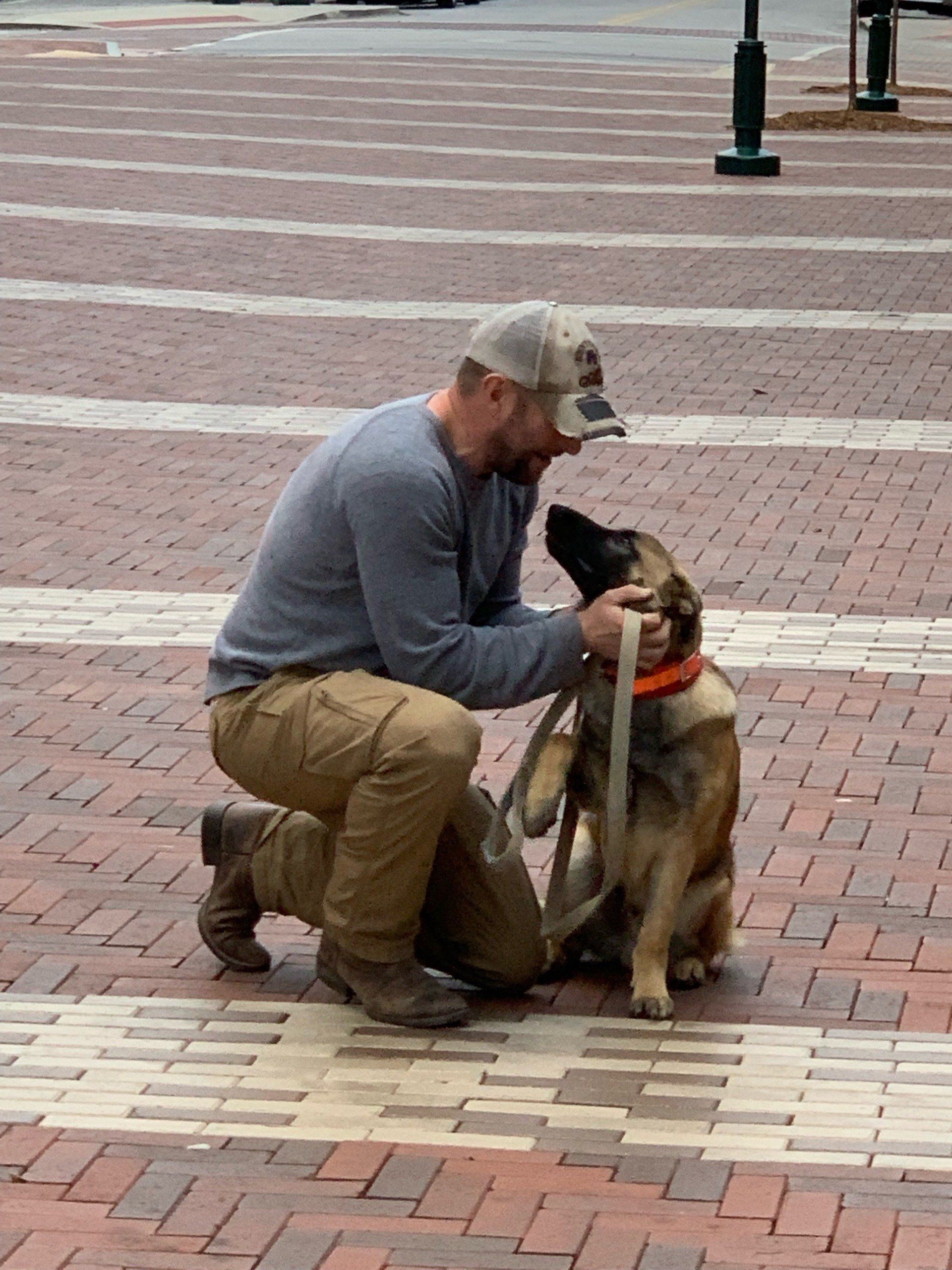 Man kneels beside a seated dog in an orange harness on a brick plaza, petting its face.