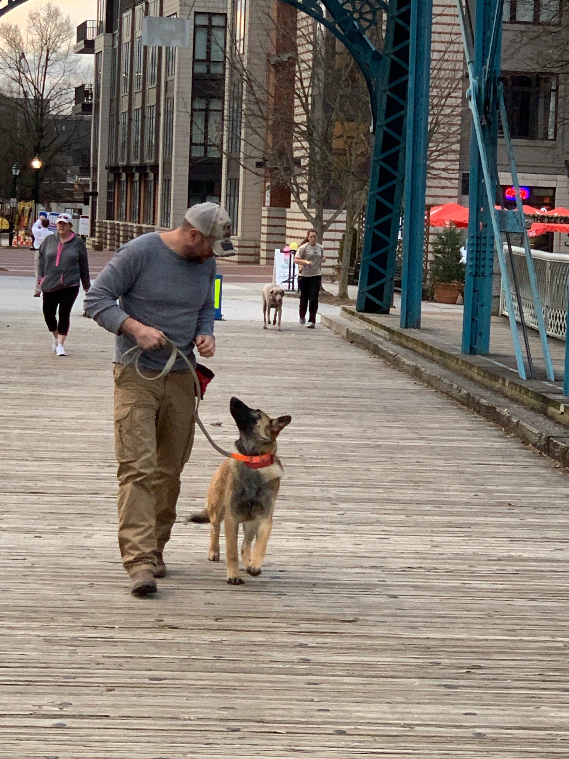 Man walking a dog on a leash along a wooden path beside buildings on a cool day