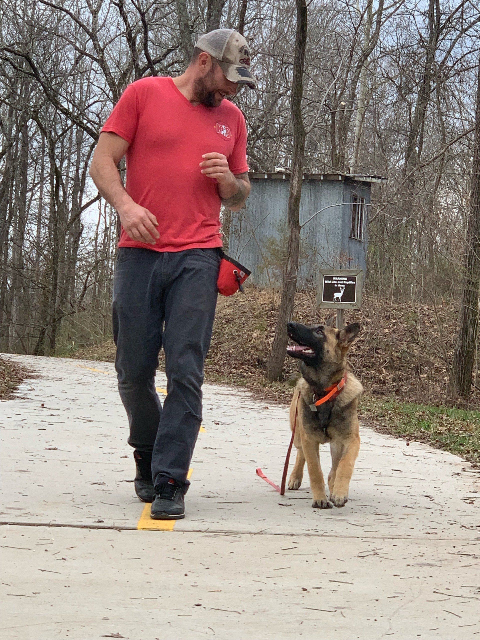 Man walking a dog on a paved path in a wooded area, both wearing red harnesses.