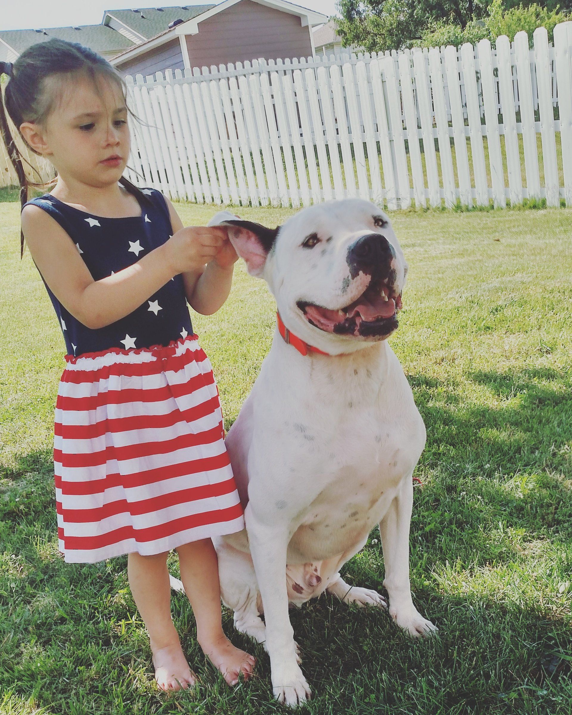 Girl in a red striped dress petting a seated white dog in a sunny backyard.