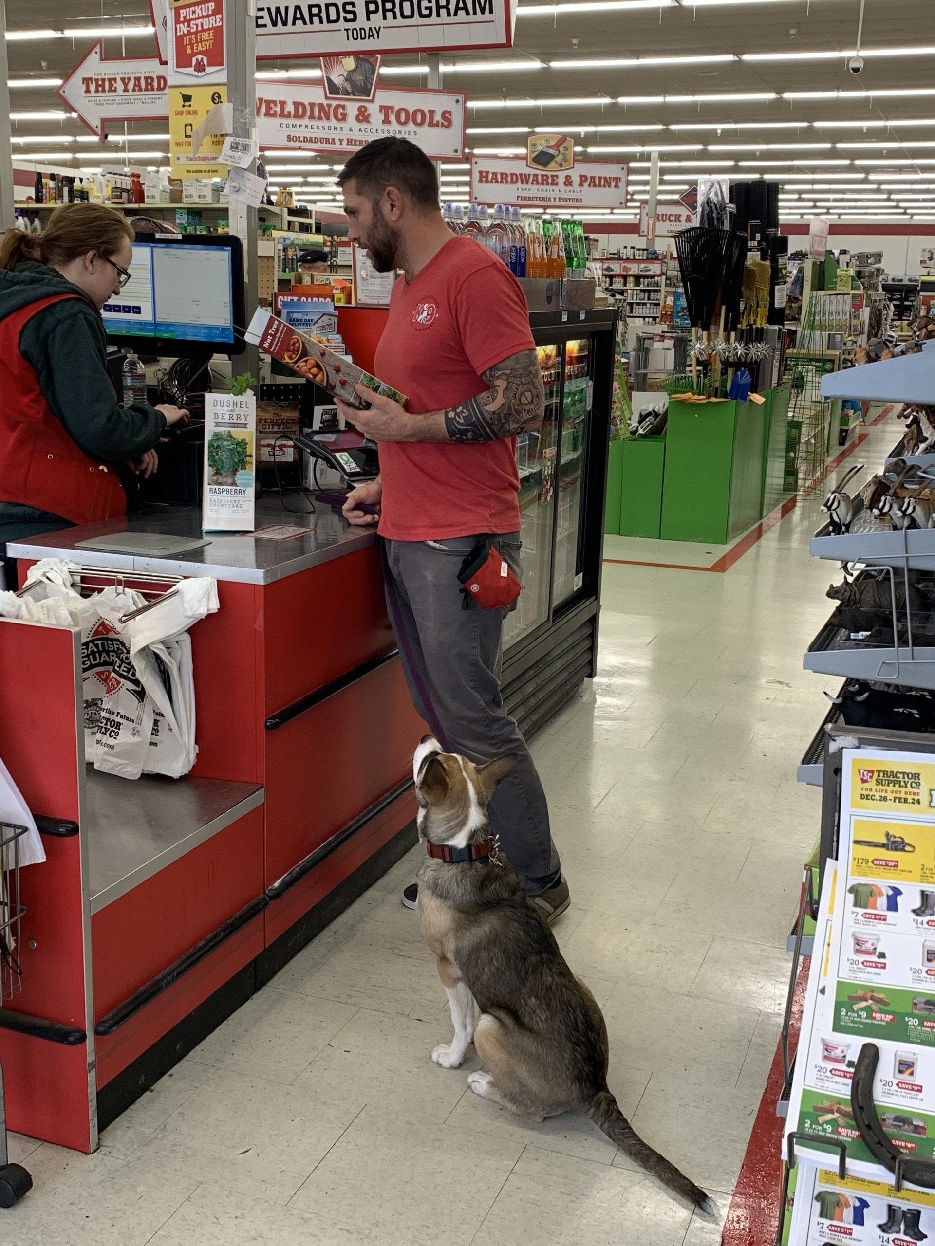 Man in red shirt at pet store checkout, with a cat sitting at his feet.