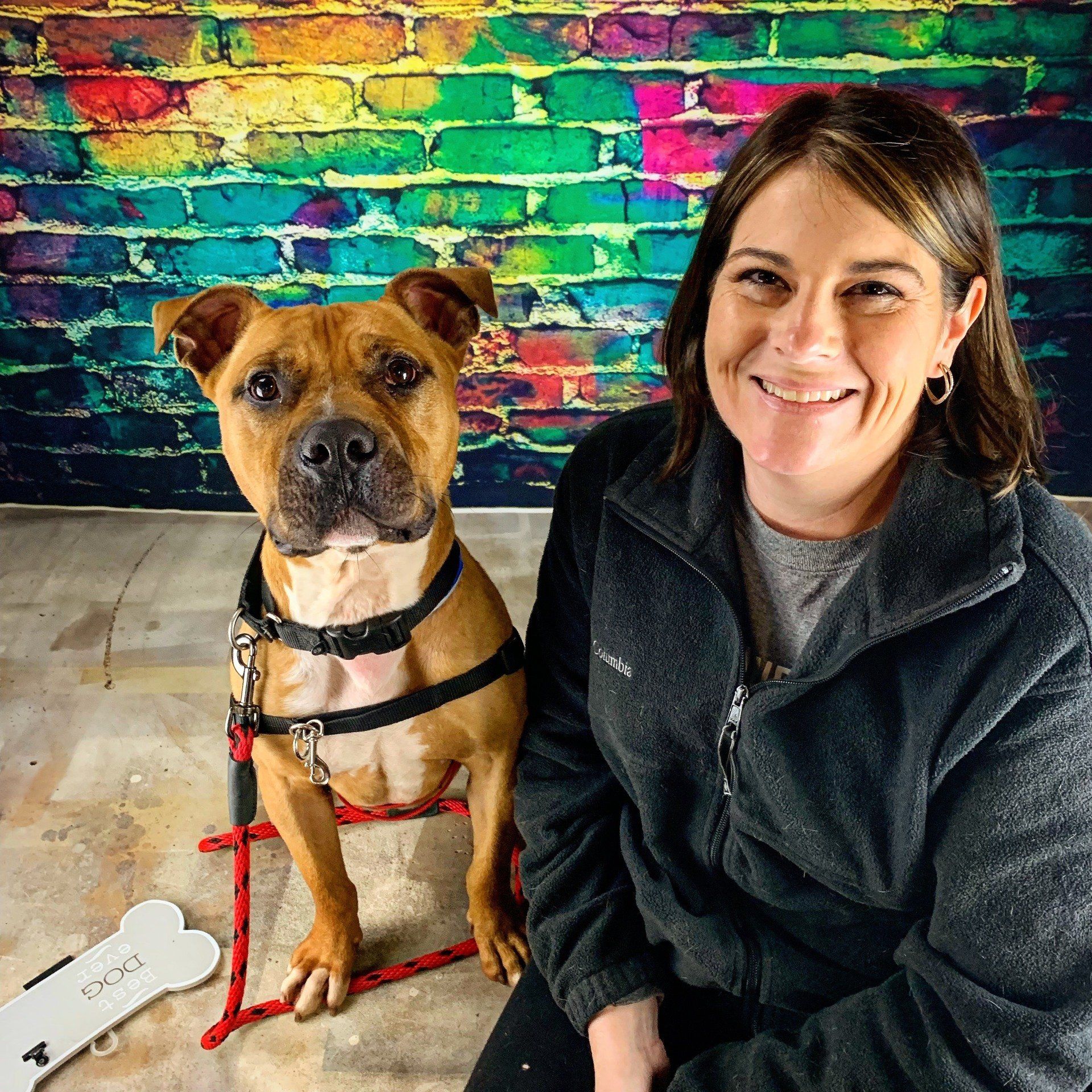 Woman sitting with a brown dog in front of a colorful brick wall