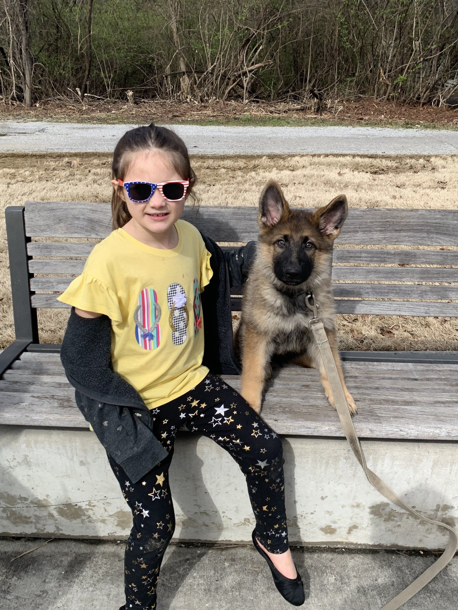 Girl in sunglasses sitting on a bench beside a German shepherd outdoors