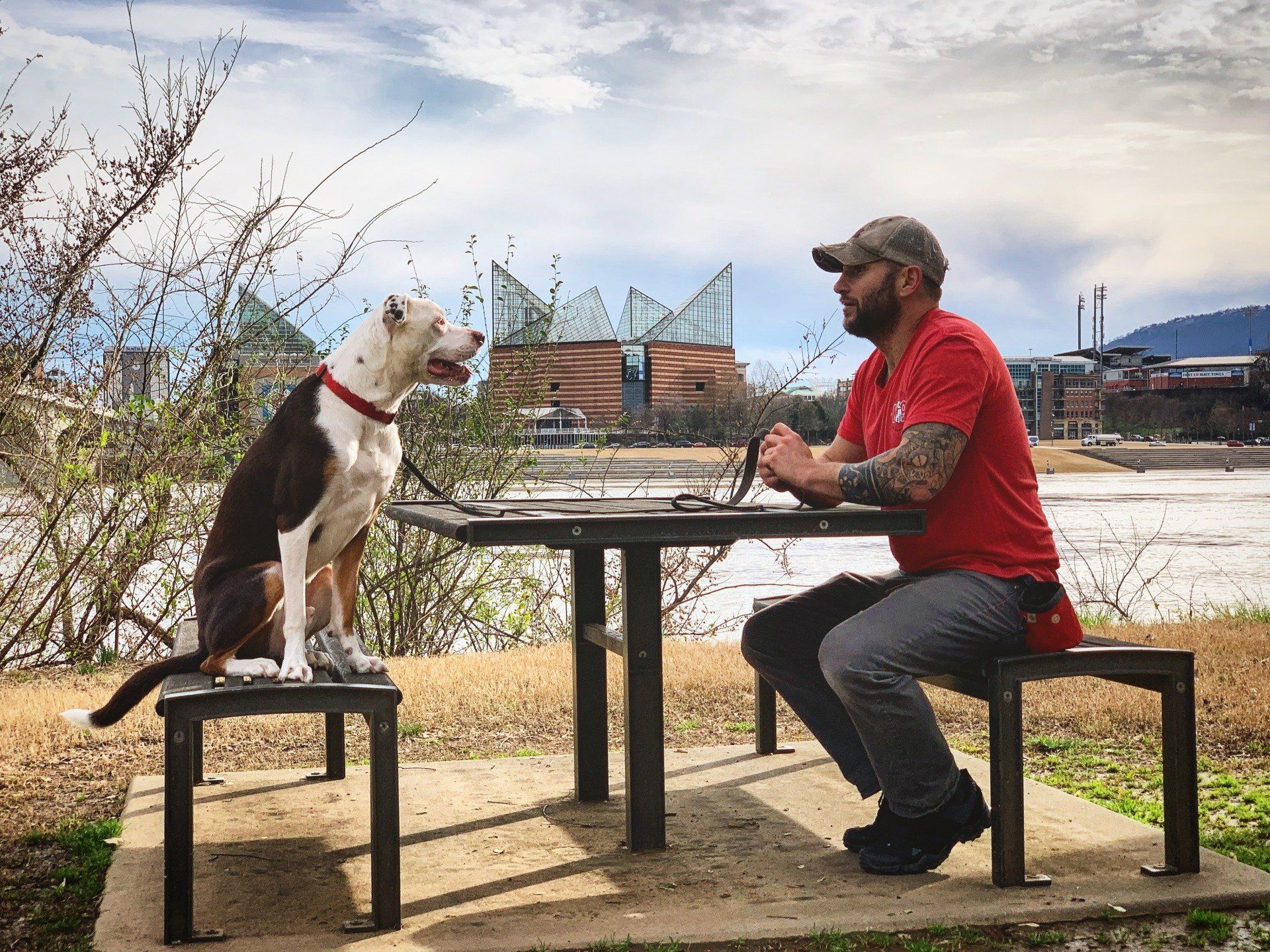 Man in red shirt sits at a table facing a white dog outdoors by a waterfront.