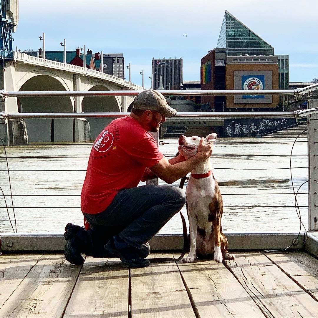 Man in red shirt kneels beside a white dog on a wooden dock by the water, with city buildings behind.