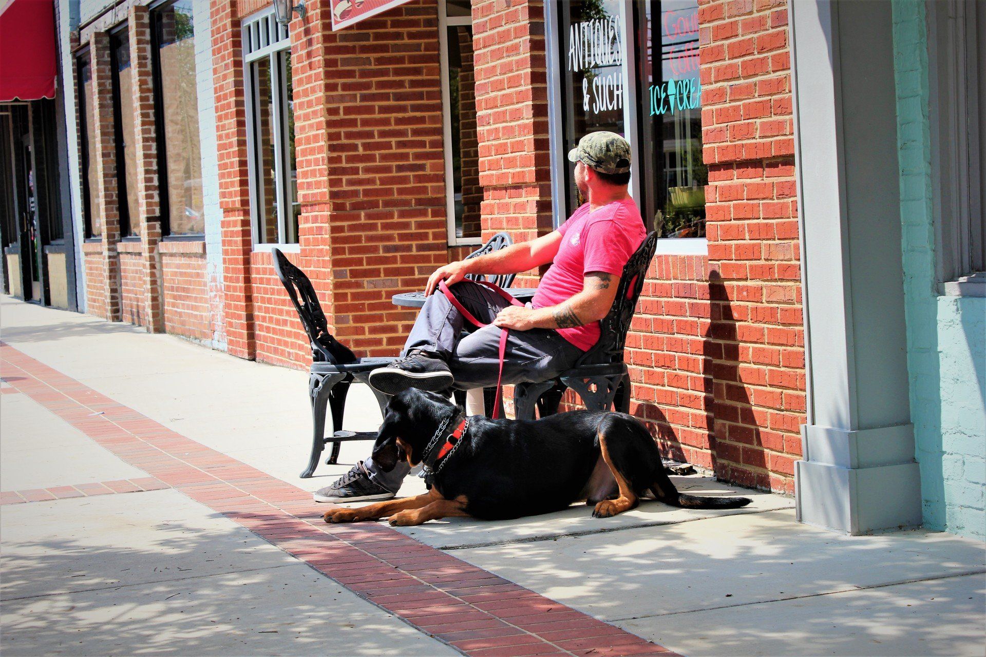 Person in a wheelchair with two black dogs resting on a sunny sidewalk by a brick building