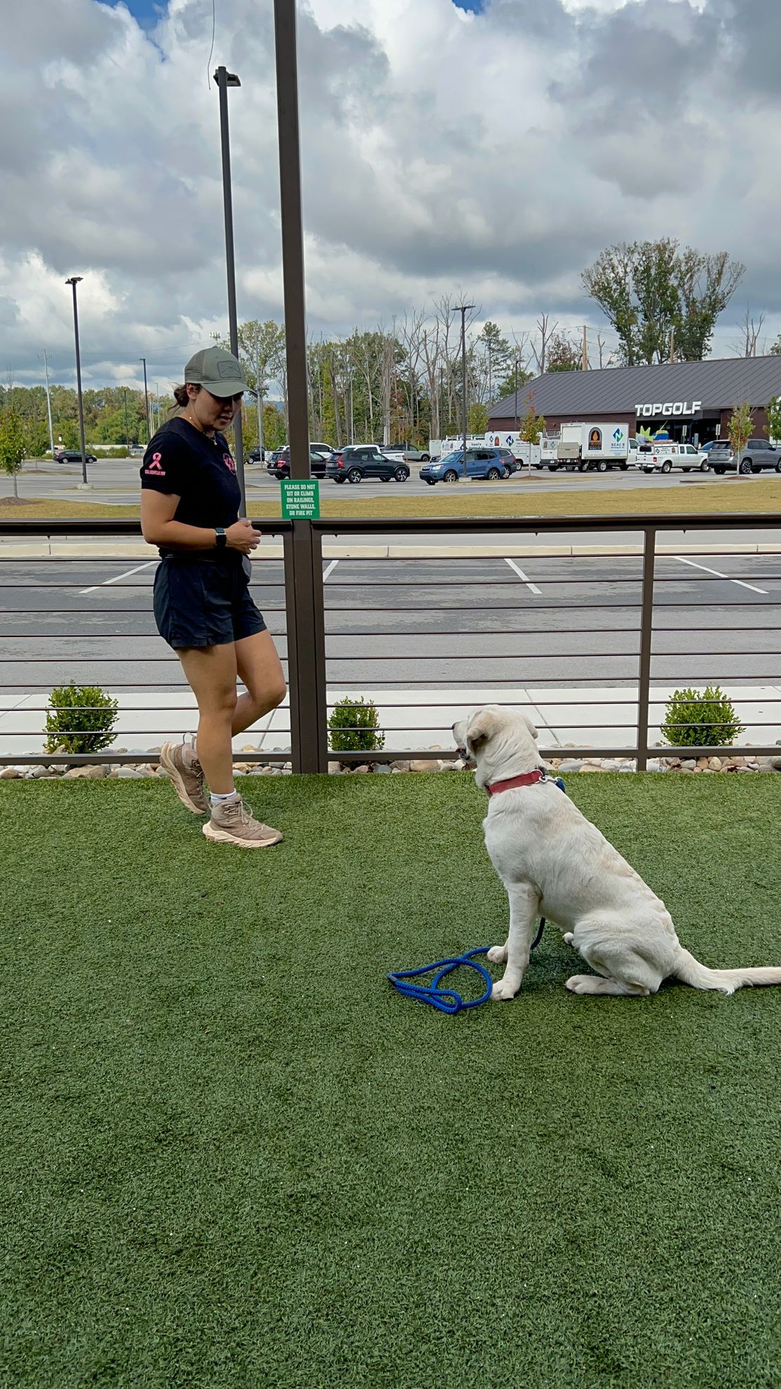 Person standing on grass near a seated white dog with leash, by a road under cloudy skies