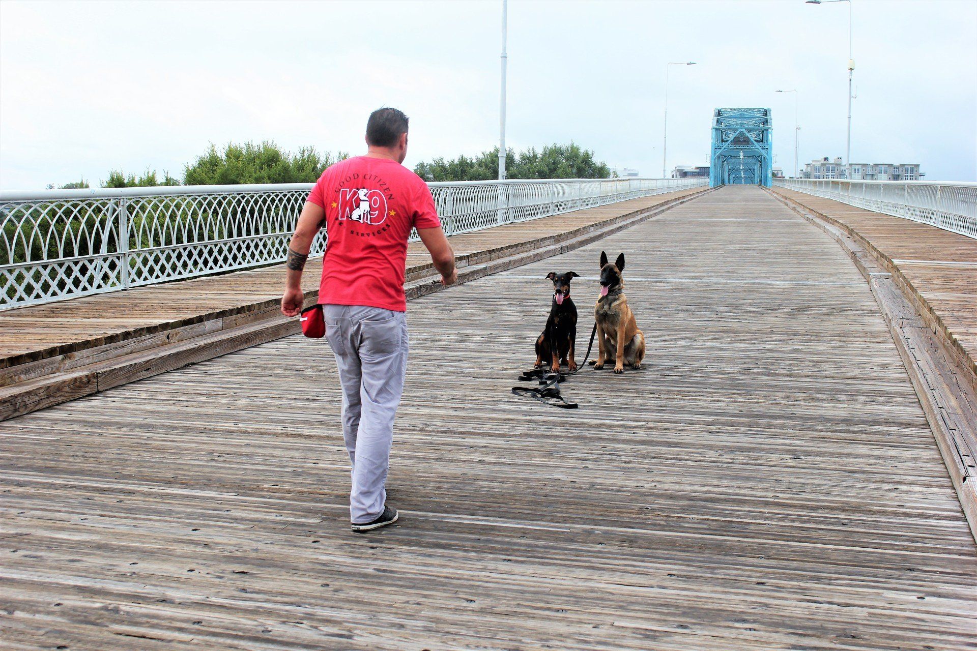Man walking two small dogs on a wooden bridge toward a blue tower in the distance
