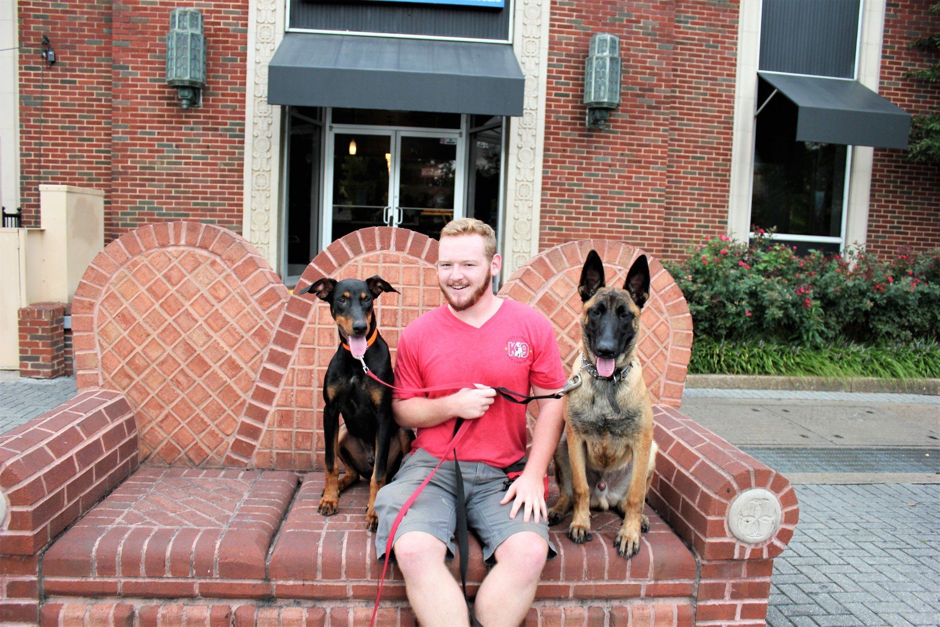 Man in red shirt sitting on brick bench with two German Shepherds in front of a brick building