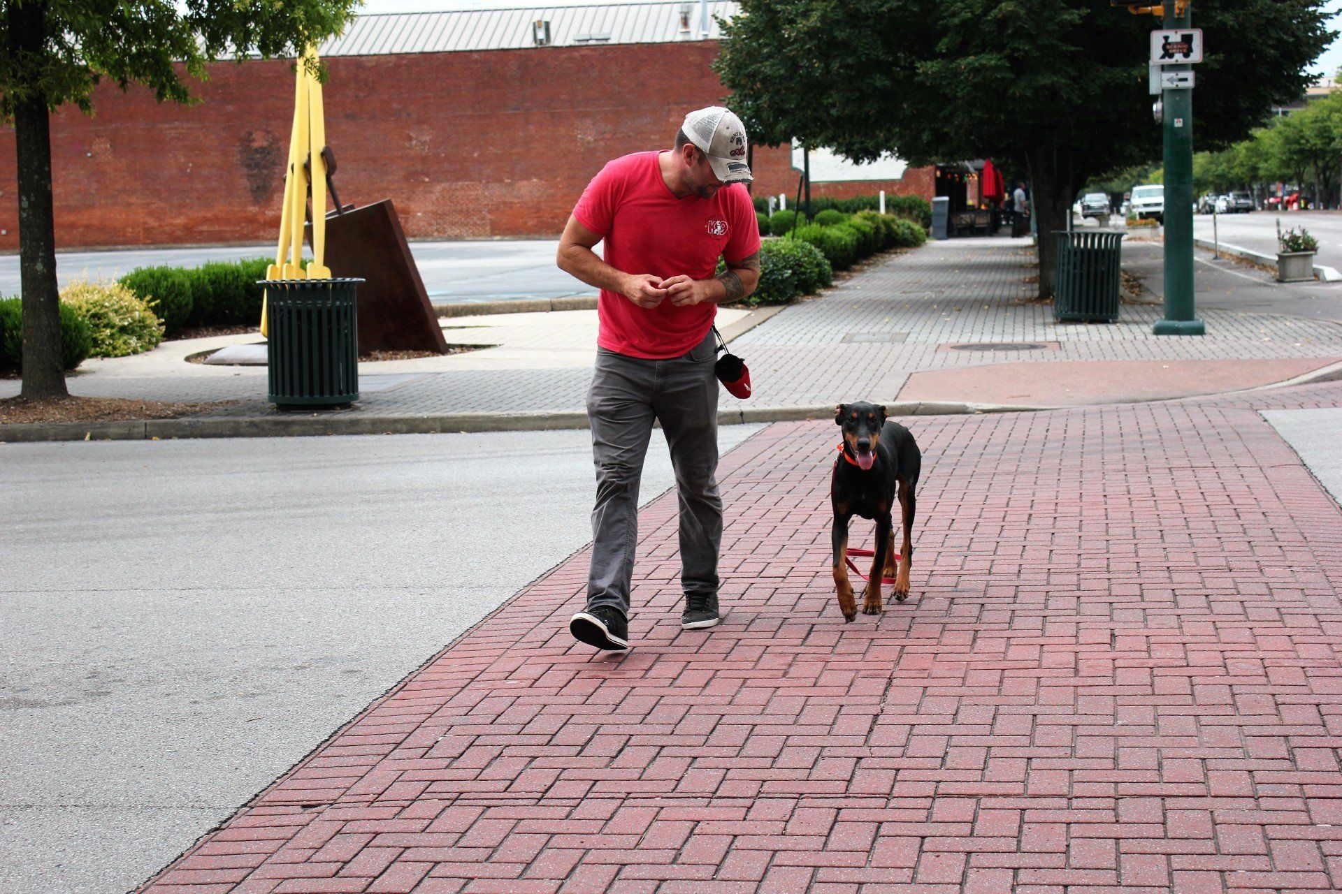 Person in red shirt walking a black dog on a brick sidewalk outdoors