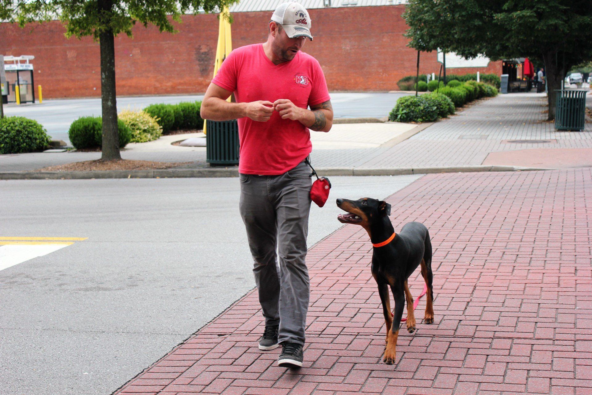 Man walking a black-and-tan dog on a leash along a brick sidewalk