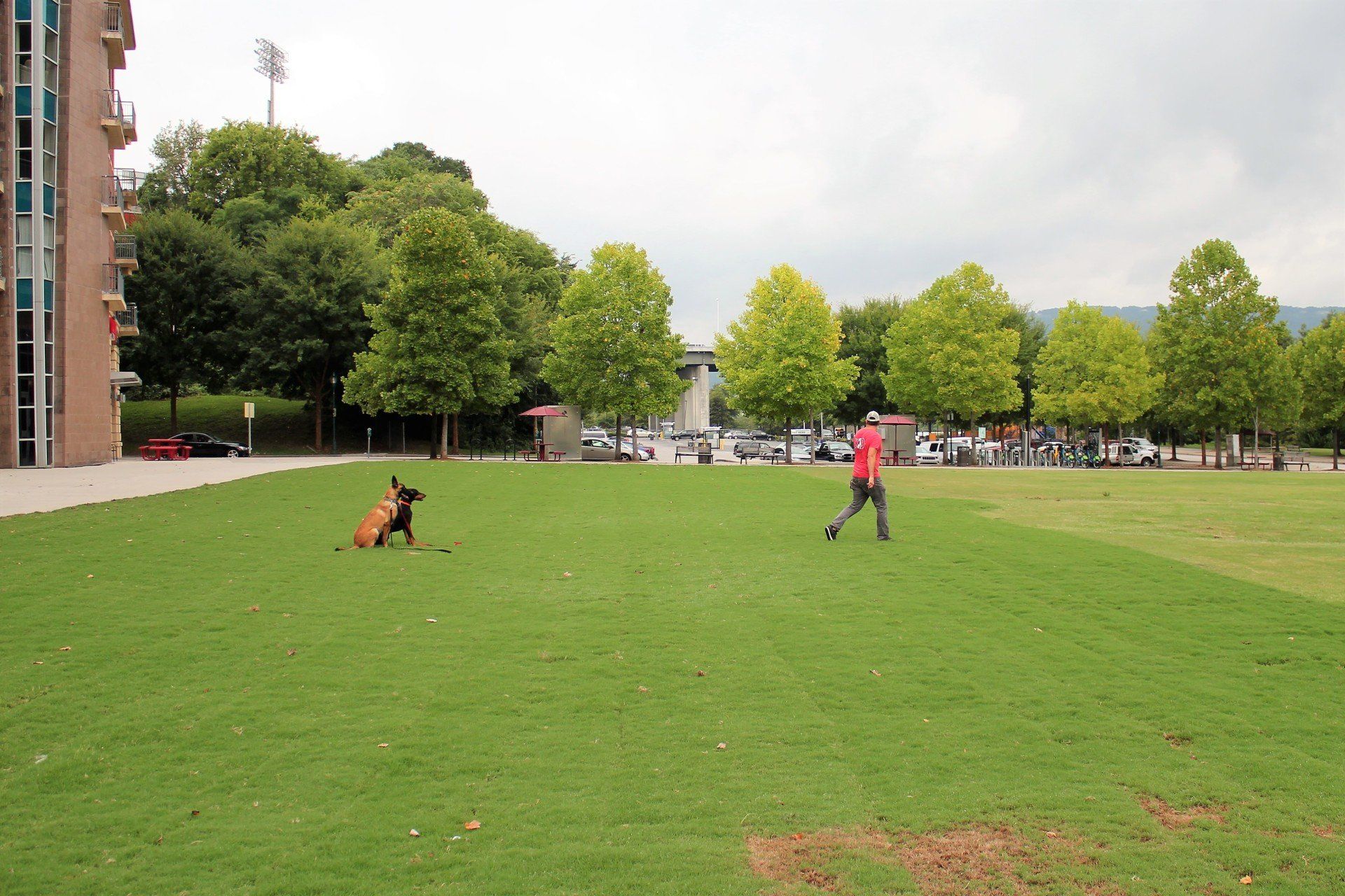 People on a green lawn in a park, with trees, a fountain, and a building in the background.