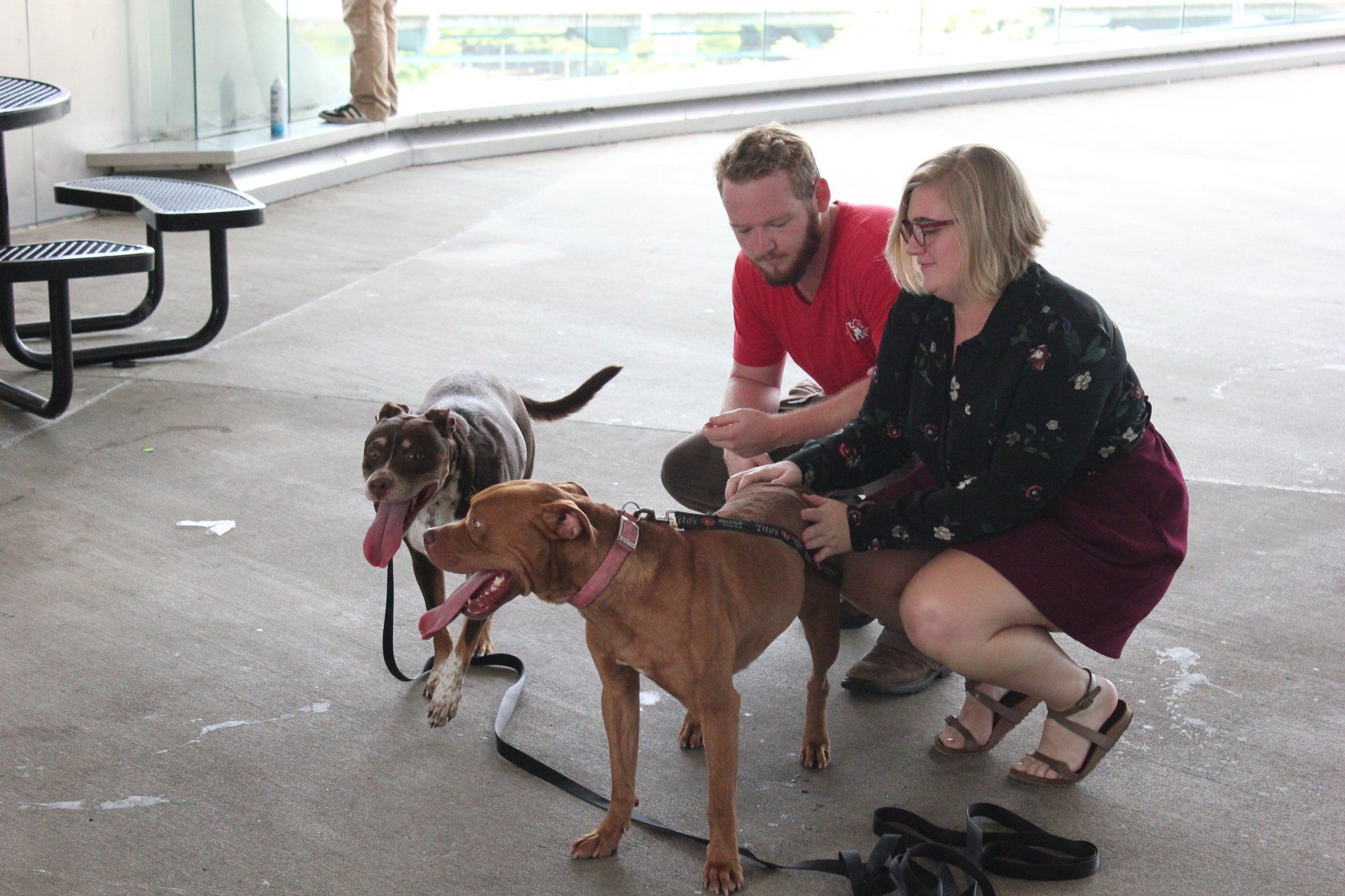 Two people petting two dogs on a concrete pavilion floor, with benches in the background.