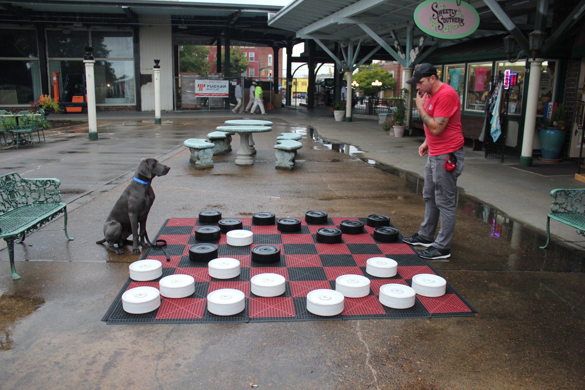 Outdoor pet training area with a dog, handler, and rows of white-and-red bowls on a wet tiled mat