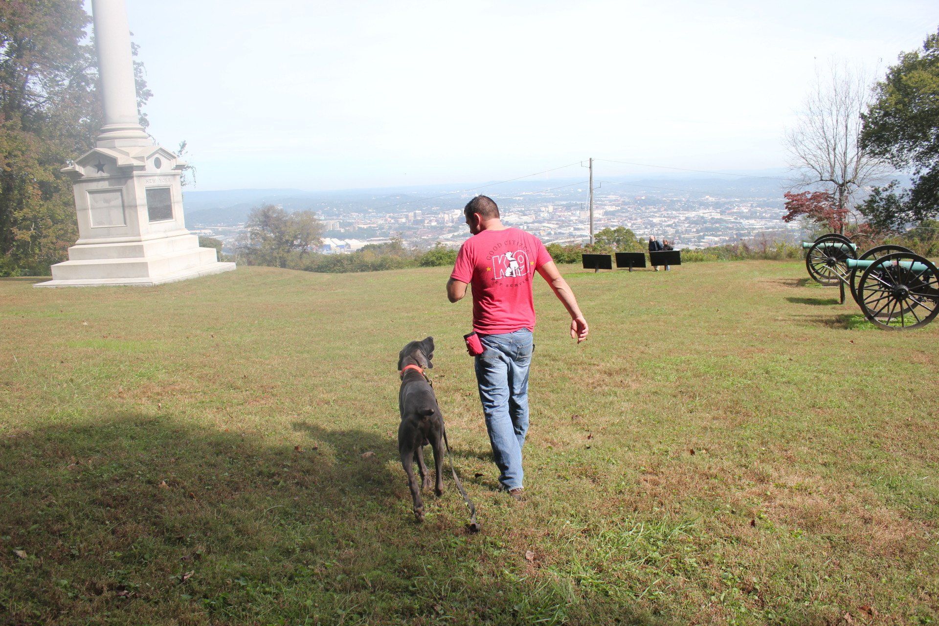 Person walking a dog on a grassy hill with a city view in the background
