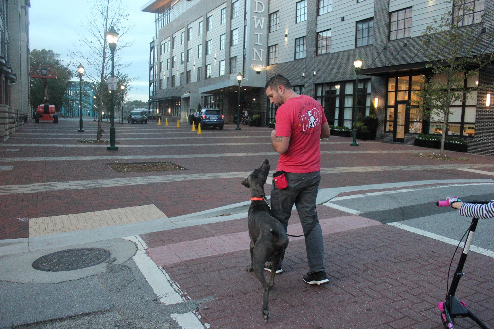 Man in red shirt walking a gray dog on a leash in a city plaza near buildings and a bicycle.