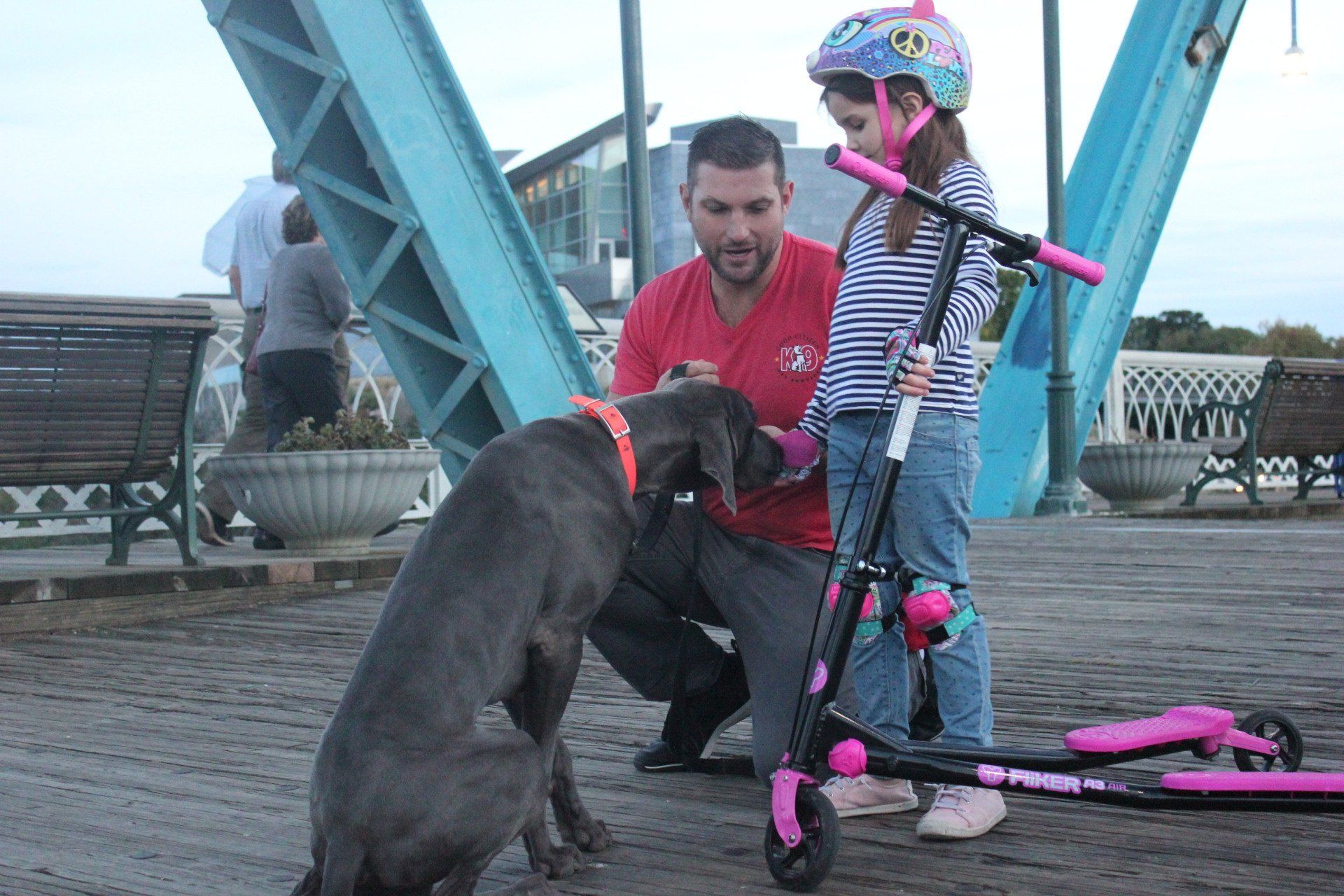 Man kneels by a gray dog as a child on a pink scooter stands nearby on a wooden pier