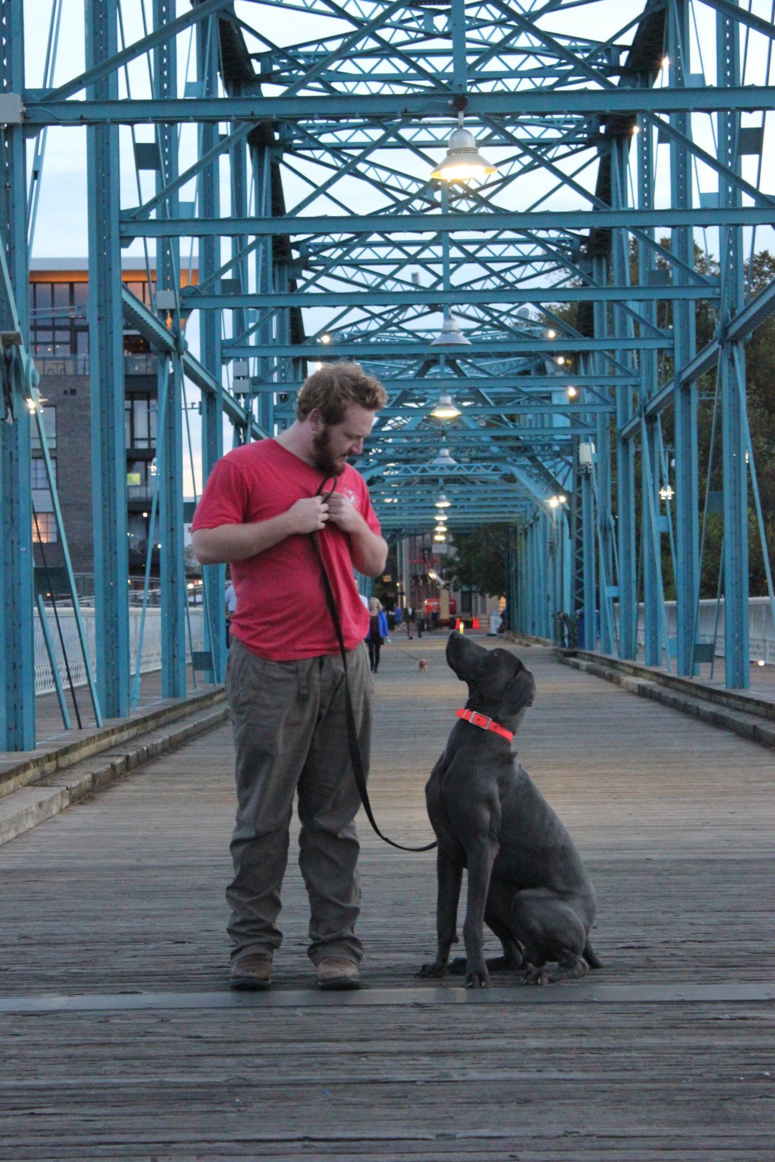 Person in red shirt with a black dog sitting on a blue steel bridge