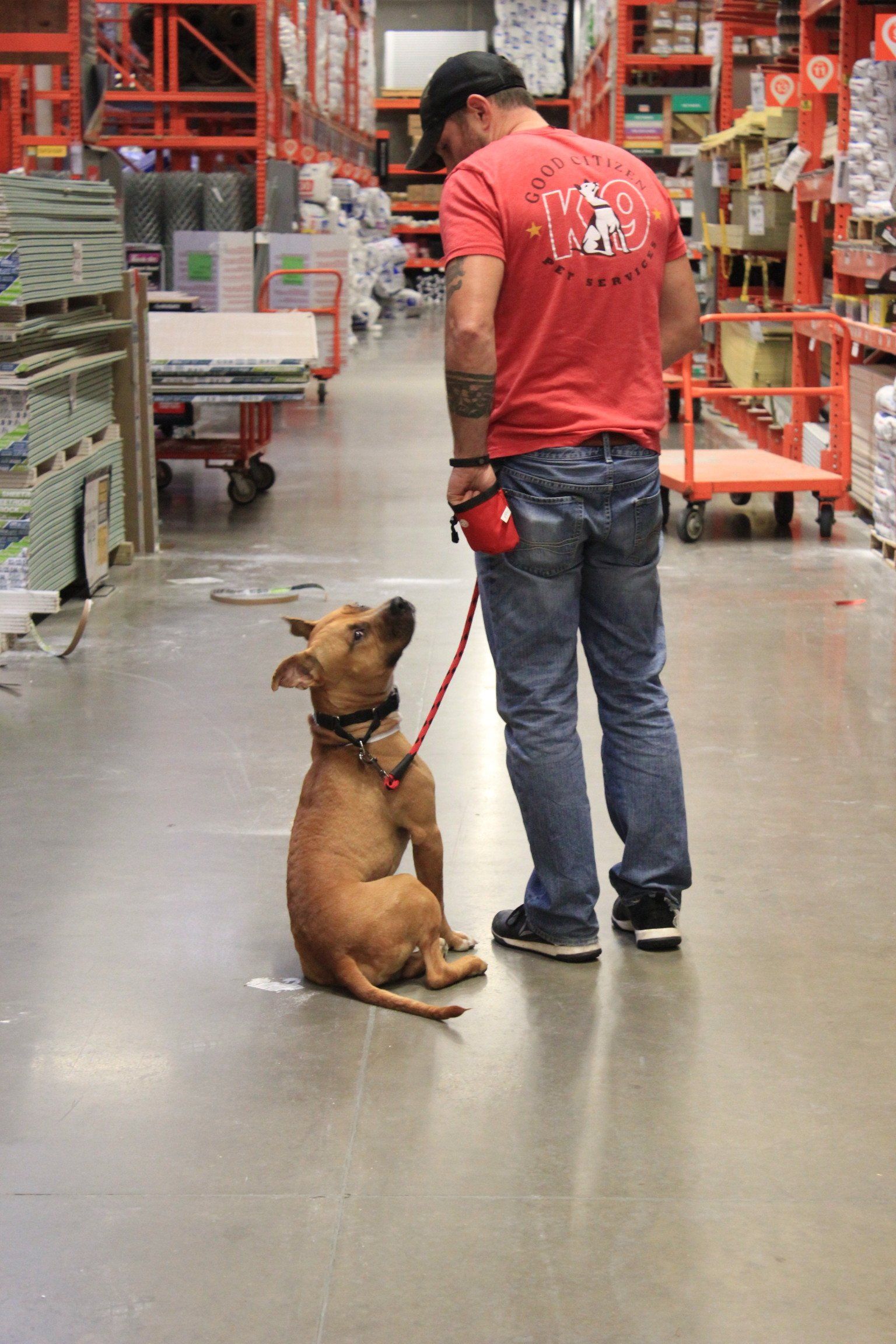 Person in red shirt standing with a seated dog on a leash in a warehouse aisle