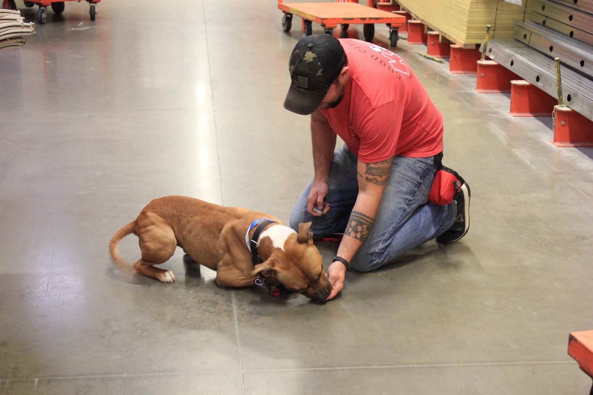Worker kneels beside a brown-and-white dog on a store floor, holding it by the collar.