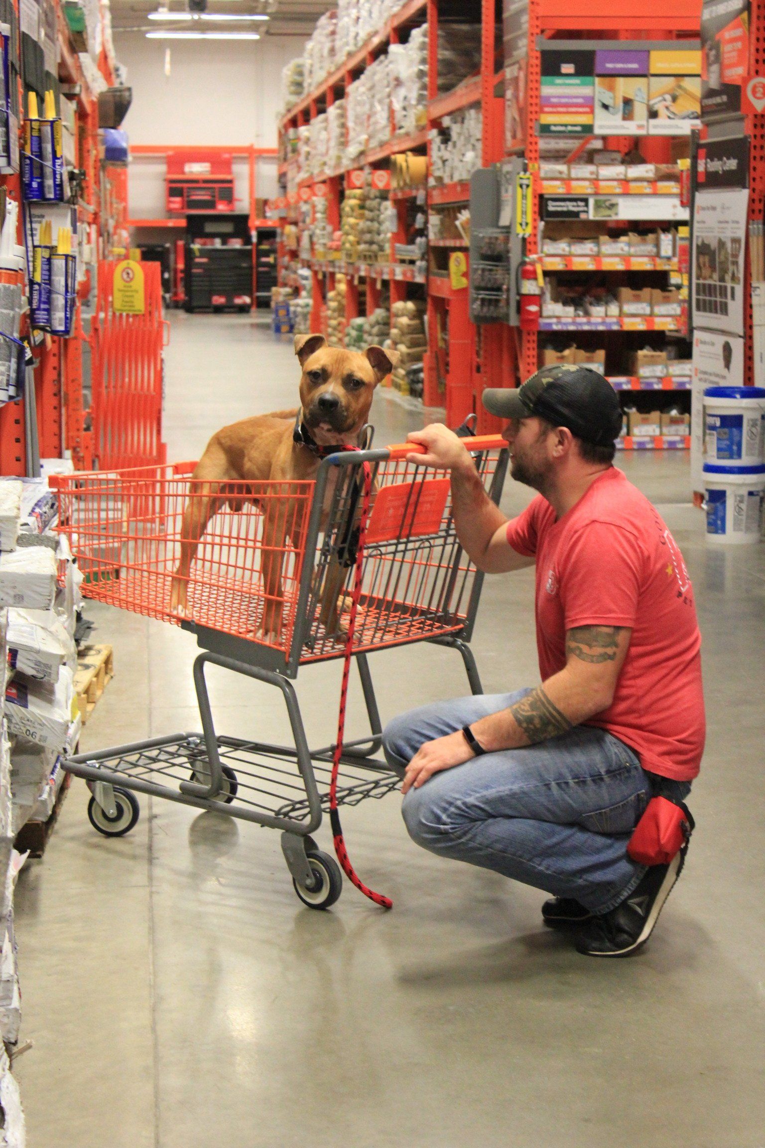 Man kneels beside a shopping cart while a dog sits in the cart in a store aisle.