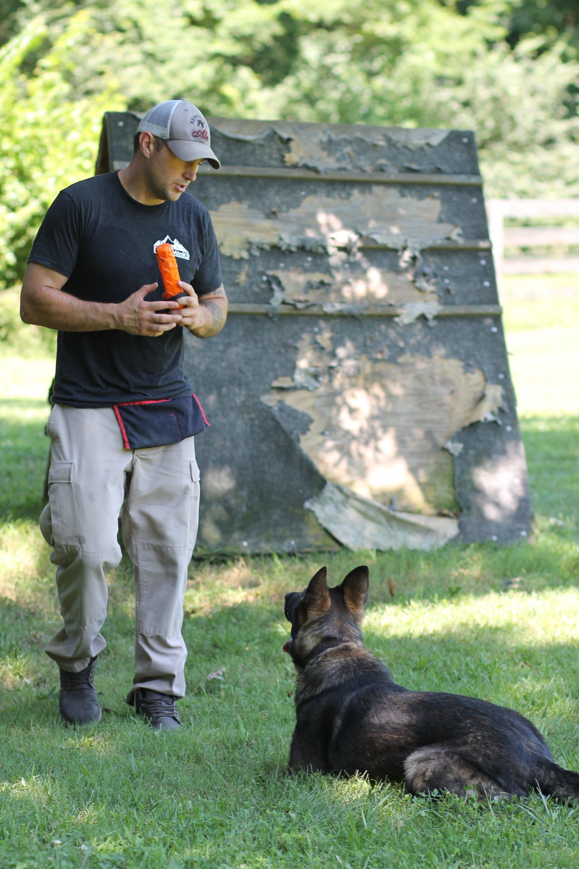Trainer holding a toy faces a German shepherd lying on grass near an agility wall.